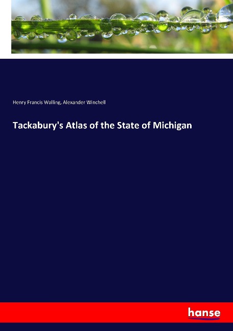 Tackaburys Atlas of the State of Michigan