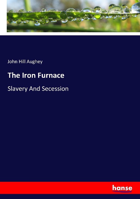 The Iron Furnace: Slavery And Secession