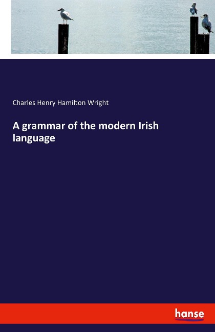 A grammar of the modern Irish language