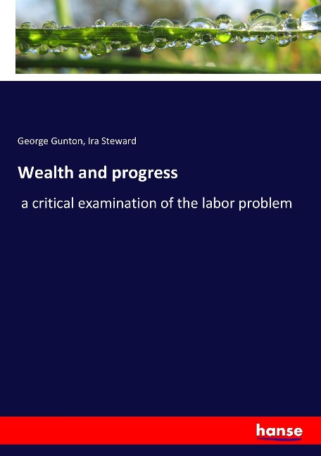 Wealth and progress: a critical examination of the labor problem