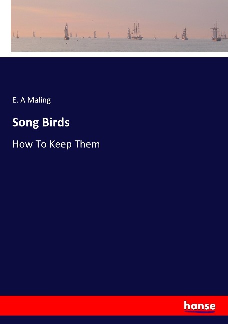 Song Birds: How To Keep Them