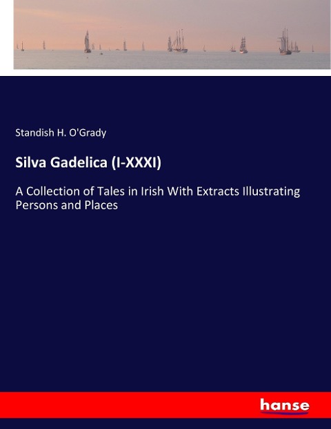 Silva Gadelica (I-XXXI): A Collection of Tales in Irish With Extracts Illustrating Persons and Places