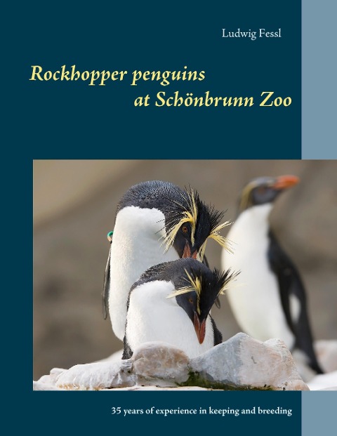 Rockhopper penguins at Schönbrunn Zoo: 35 years of experience in keeping and breeding