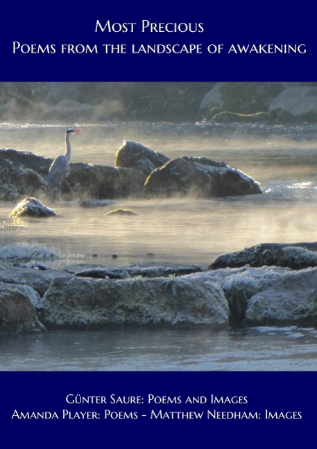 Most Precious: Poems from the landscape of awakening