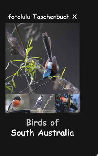 Birds of South Australia fotolulu Taschenbuch X