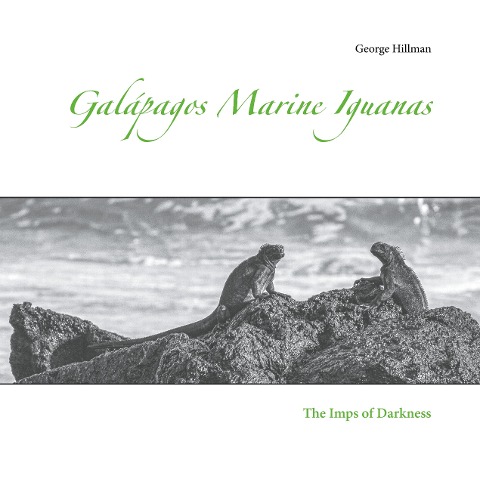 Galápagos Marine Iguanas: The Imps of Darkness