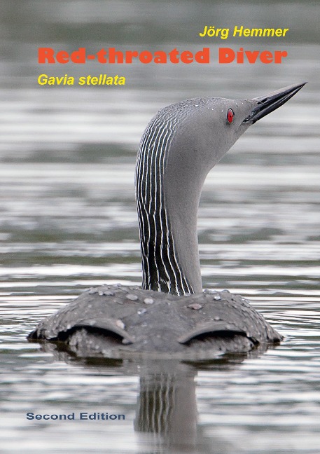 Red-throated Diver: Gavia stellata