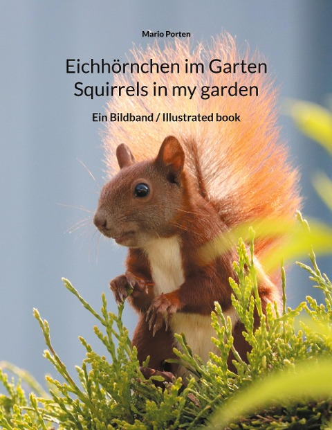 Eichhörnchen im Garten / Squirrels in my garden: Ein Bildband / Illustrated book