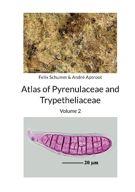 Atlas of Pyrenulaceae and Trypetheliaceae Volume 2: Lichenized Ascomycota