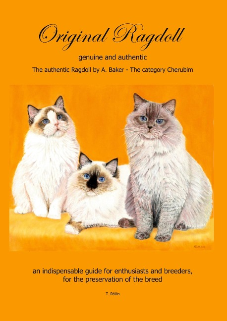 Original Ragdoll: genuine and authentic