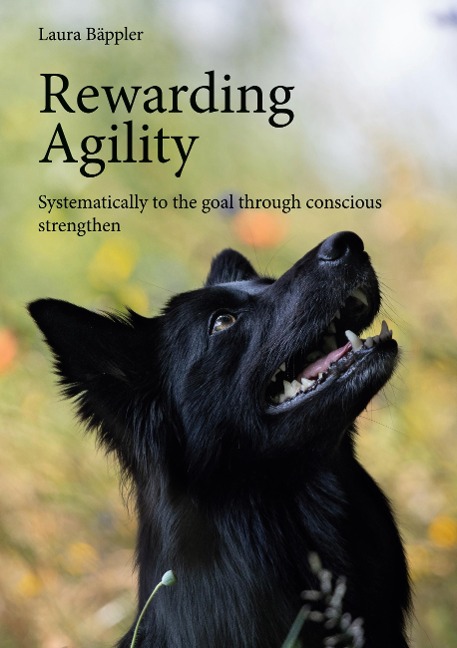 Rewarding Agility: Systematically to the goal through conscious strengthen