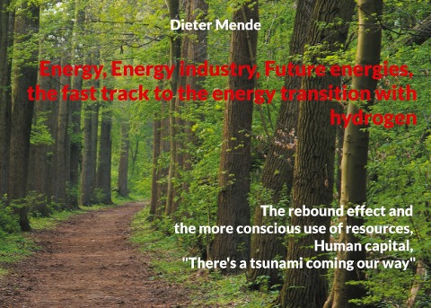 Energy Energy industry Future energies, the fast track to the energy transition with hydrogen: The rebound effect and the more conscious use of resources, Human capital, Theres a tsunami coming our way