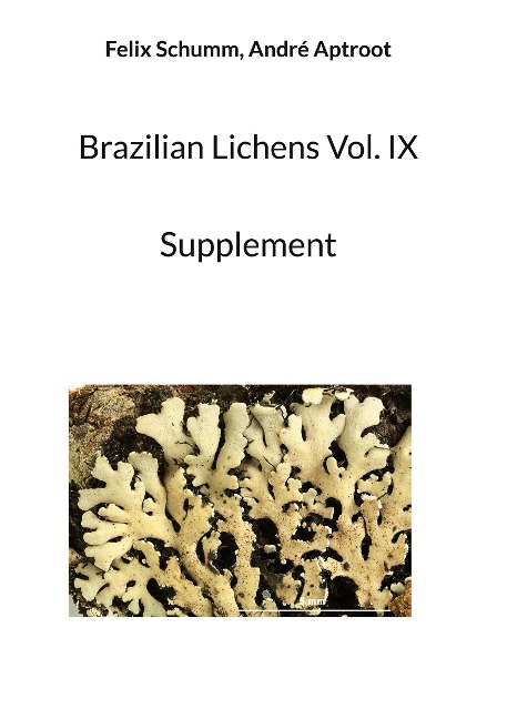 Brazilian Lichens Vol. IX: Supplement
