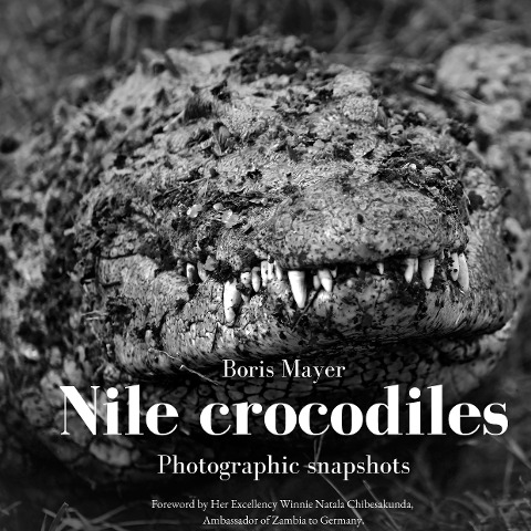 Nile crocodiles: Photographic snapshots