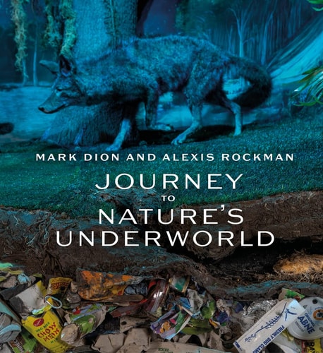 Mark Dion and Alexis Rockman Journey to Nature's Underworld