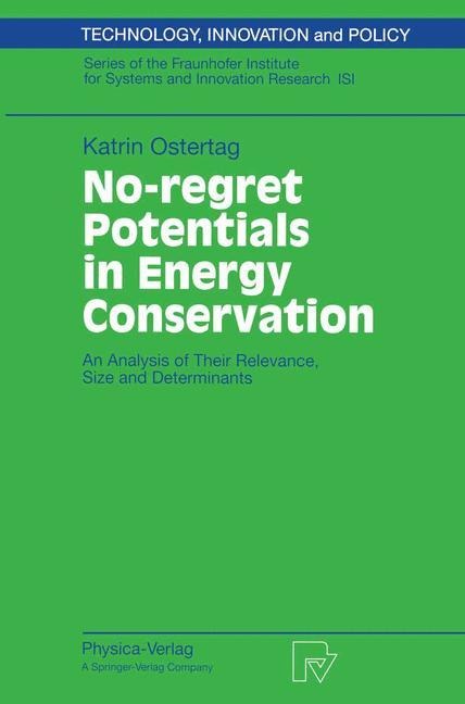 No-regret Potentials in Energy Conservation: An Analysis of Their Relevance, Size and Determinants