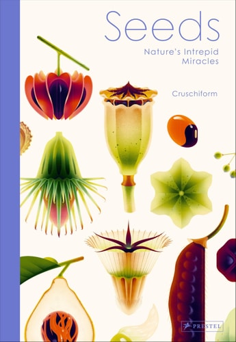 Seeds Nature's Intrepid Miracles