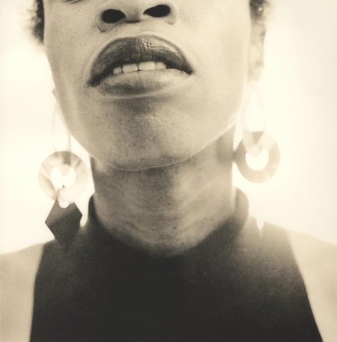 Joy Gregory Catching Flies with Honey