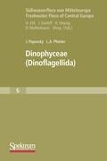 Dinophyceae: (Dinoflagellida)