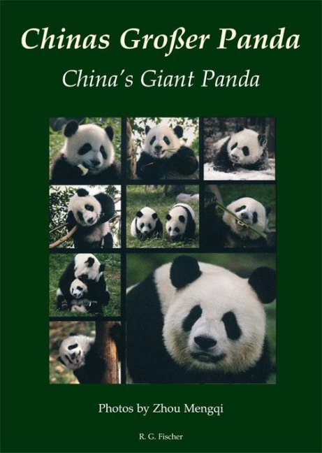 Chinas Großer Panda. Chinas Giant Panda