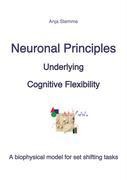 Neuronal principles underlying cognitive flexibility: A biophysical model for set shifting tasks