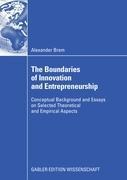 The Boundaries of Innovation and Entrepreneurship: Conceptual Background and Essays on Selected Theoretical and Empirical Aspects