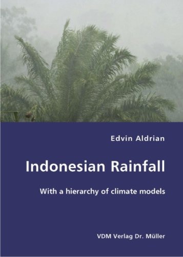 Indonesian Rainfall With a Hierarchy of Climate Models