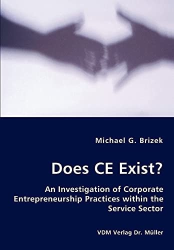 Does CE Exist? An Investigation of Corporate Entrepreneurship Practices Within the Service Sector