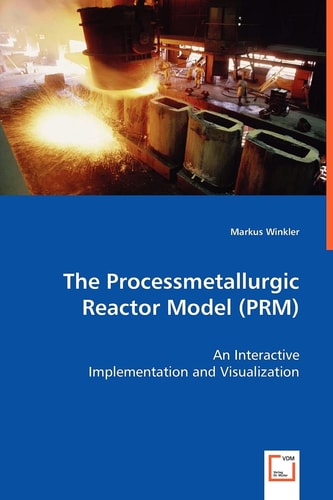 The Processmetallurgic Reactor Model (PRM) An Interactive Implementation and Visualization