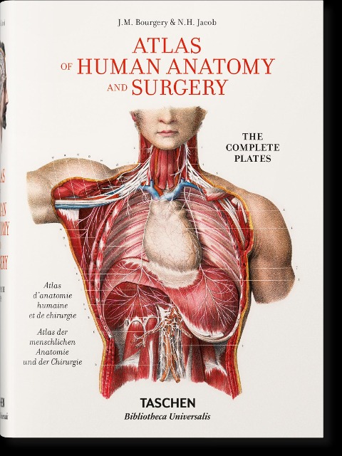 Bourgery: Atlas of Human Anatomy and Surgery