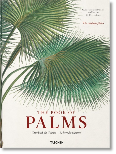 Martius: The Book of Palms