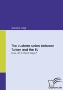 The customs union between Turkey and the EU: How did it affect Turkey?