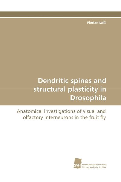 Dendritic spines and structural plasticity in Drosophila: Anatomical investigations of visual and olfactory interneurons in the fruit fly