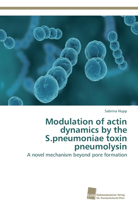 Modulation of actin dynamics by the S.pneumoniae toxin pneumolysin: A novel mechanism beyond pore formation