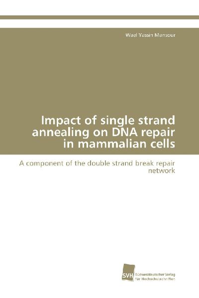 Impact of single strand annealing on DNA repair in mammalian cells: A component of the double strand break repair network