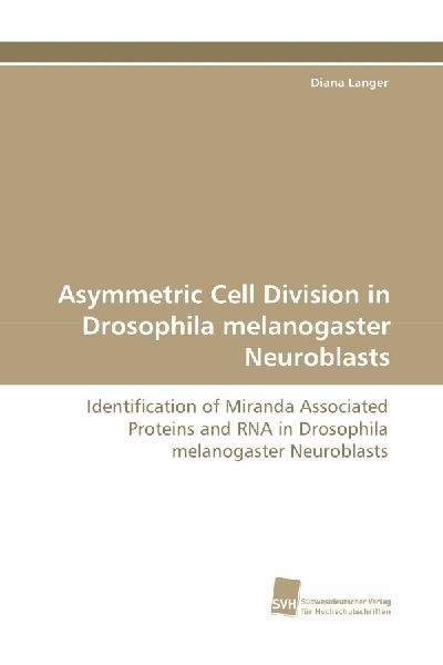 Asymmetric Cell Division in Drosophila melanogaster Neuroblasts: Identification of Miranda Associated Proteins and RNA in Drosophila melanogaster Neuroblasts