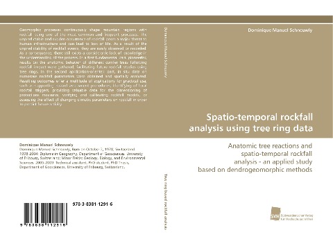 Spatio-temporal rockfall analysis using tree ring data: Anatomic tree reactions and spatio-temporal rockfall analysis - an applied study based on dendrogeomorphic methods