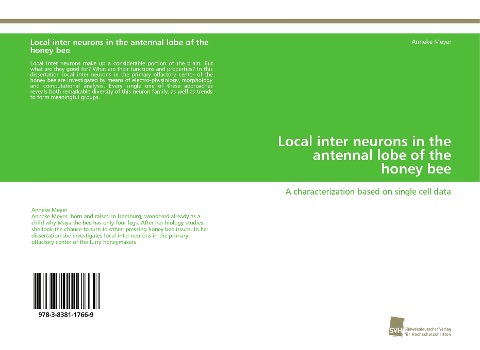 Local inter neurons in the antennal lobe of the honey bee: A characterization based on single cell data