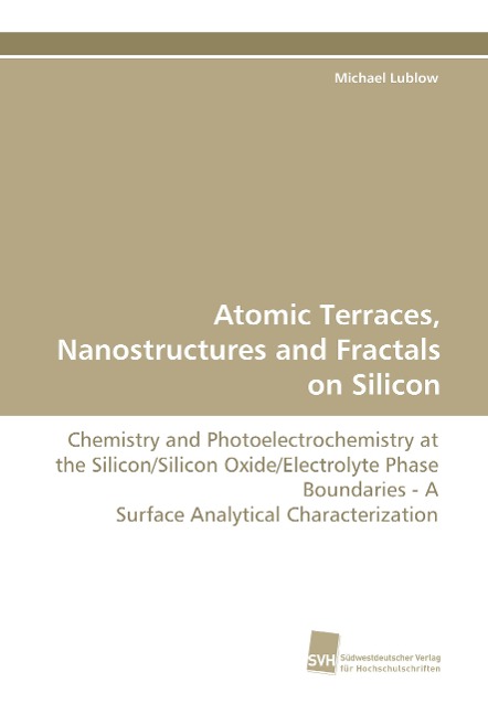 Atomic Terraces, Nanostructures and Fractals on Silicon: Chemistry and Photoelectrochemistry at the Silicon/Silicon Oxide/Electrolyte Phase Boundaries - A Surface Analytical Characterization