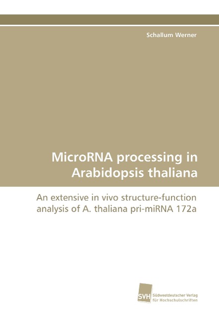 MicroRNA processing in Arabidopsis thaliana: An extensive in vivo structure-function analysis of A. thaliana pri-miRNA 172a