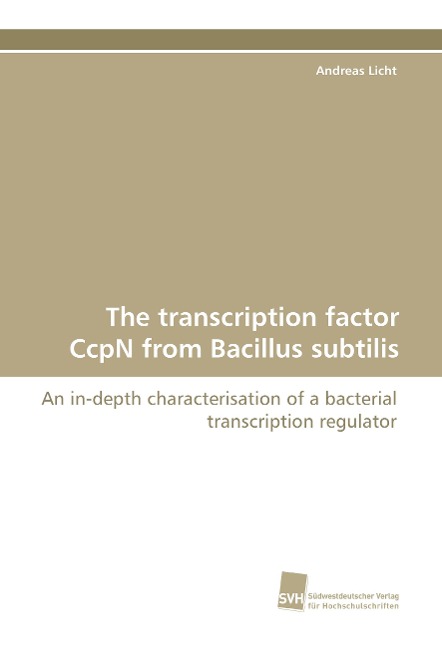 The transcription factor CcpN from Bacillus subtilis: An in-depth characterisation of a bacterial transcription regulator