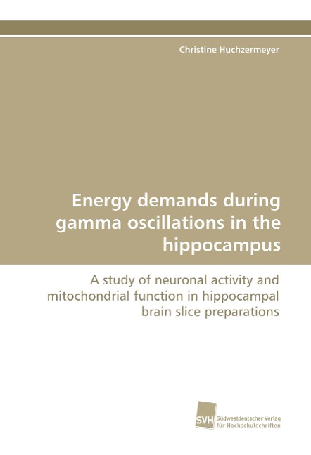 Energy demands during gamma oscillations in the hippocampus: A study of neuronal activity and mitochondrial function in hippocampal brain slice preparations