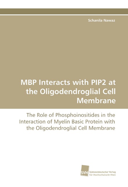 MBP Interacts with PIP2 at the Oligodendroglial Cell Membrane: The Role of Phosphoinositides in the Interaction of Myelin Basic Protein with the Oligodendroglial Cell Membrane