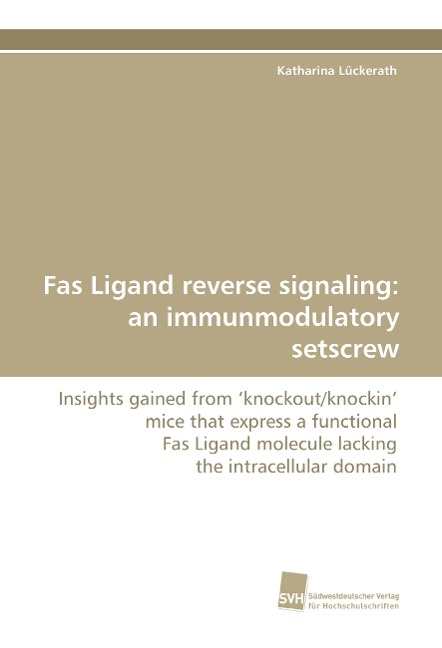Fas Ligand reverse signaling: an immunmodulatory setscrew: Insights gained from knockout/knockin mice that express a functional Fas Ligand molecule lacking the intracellular domain