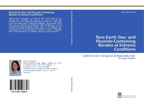 Rare-Earth Oxo- and Fluoride-Containing Borates at Extreme Conditions: Synthesis and Investigation of Metastable High-Pressure Phases