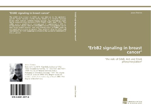 ErbB2 signaling in breast cancer: the role of ErbB, Akt and ShcA phosphorylation