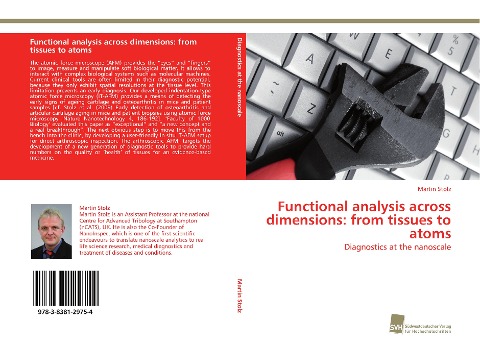 Functional analysis across dimensions: from tissues to atoms: Diagnostics at the nanoscale
