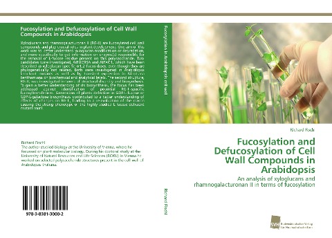 Fucosylation and Defucosylation of Cell Wall Compounds in Arabidopsis: An analysis of xyloglucans and rhamnogalacturonan II in terms of fucosylation