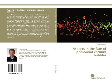 Aspects in the fate of primordial vacuum bubbles