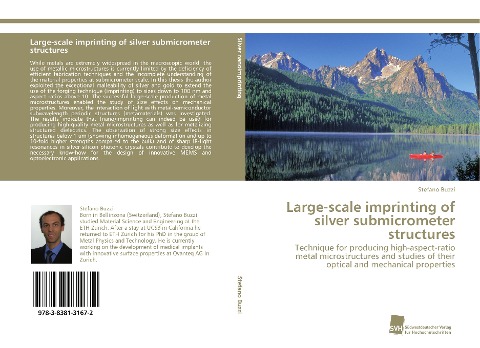 Large-scale imprinting of silver submicrometer structures: Technique for producing high-aspect-ratio metal microstructures and studies of their optical and mechanical properties